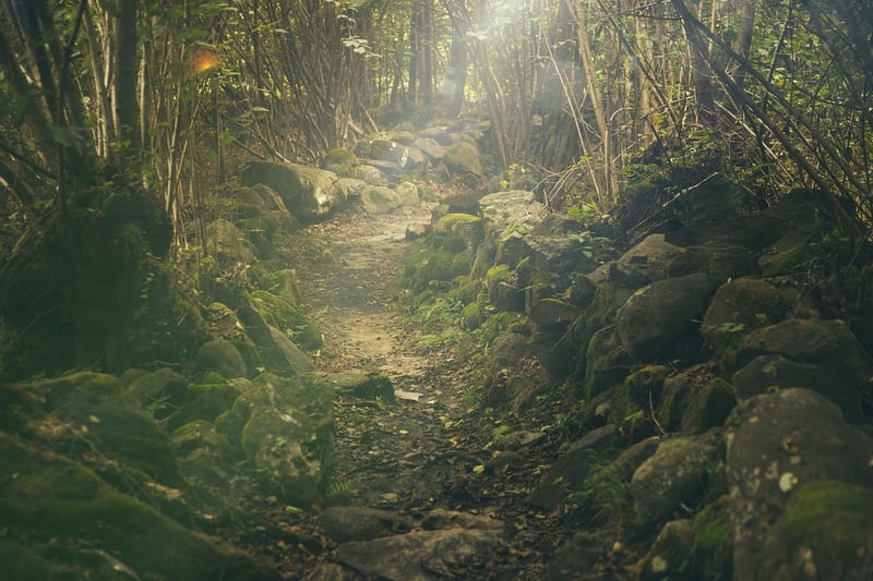 Nature Trail 2