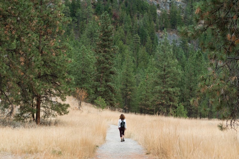mountain hiking adventure